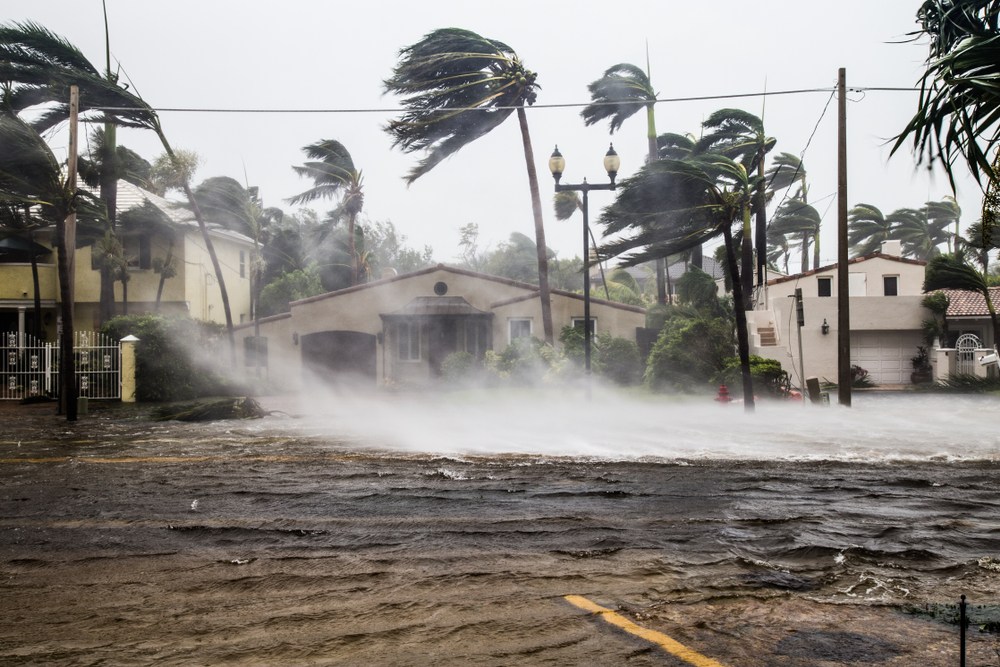 hurricane blowing palm trees, with flooding in a city