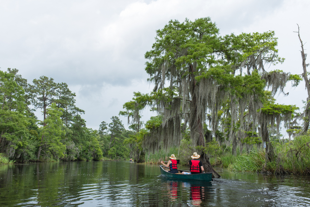 two people kayaking in the bayou with life vests on