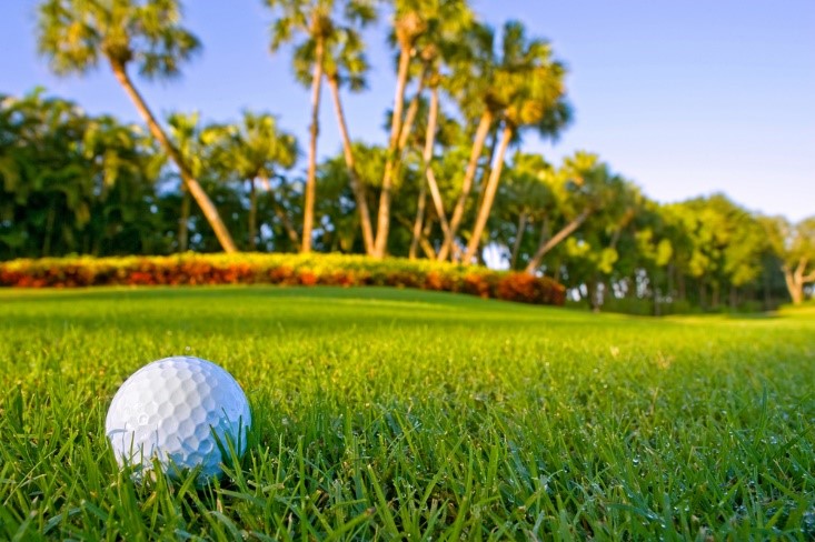 golf ball on golf course with palm trees